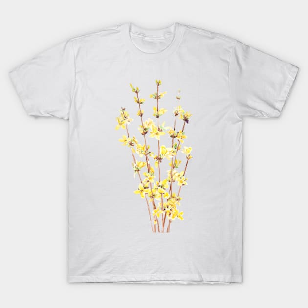yellow forsythia watercolor T-Shirt by colorandcolor